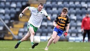Avondhu crash out of championship following defeat by Muskerry
