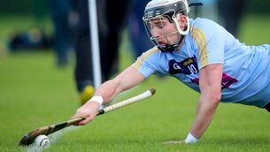 UCD grab a draw against NUIG in entertaining Fitzgibbon Cup encounter