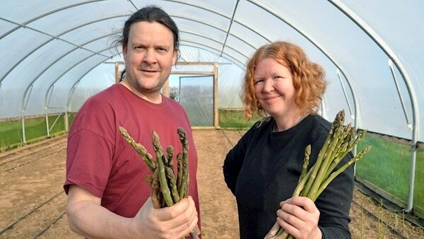 Ultan Walsh and Lucy Stewart, vegetable growers, harvesting asparagus on their farm at Nohoval, Co Cork. Picture: Denis Minihane