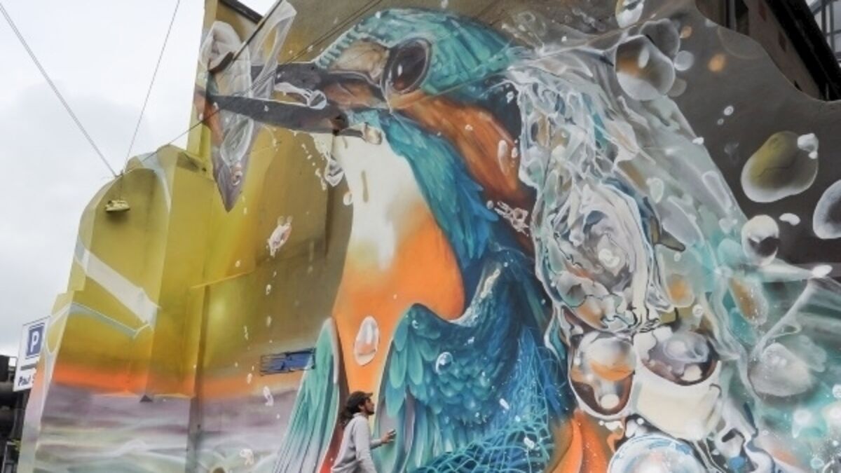Stunning kingfisher mural unveiled in Cork city