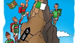 Limerick are the team Mayo might become