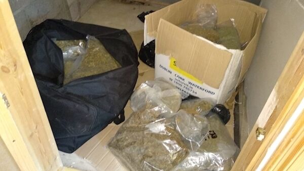 The cannabis that was seized today. Pic: Grada Press Office.