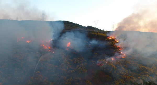 Forest fire warning issued as temperatures rise this week