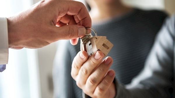 Landlords 'getting kicked left, right and centre' over 'mess' caused by government