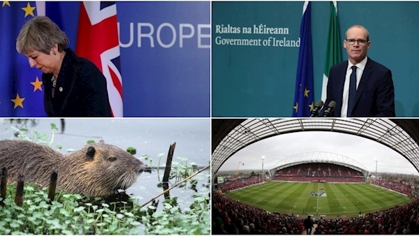 Friday's Evening Round-Up: EU summit, Good Friday Agreement and mistaken identity of rodent