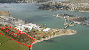 Challenge to planning permission for Ringaskiddy incinerator opens at High Court