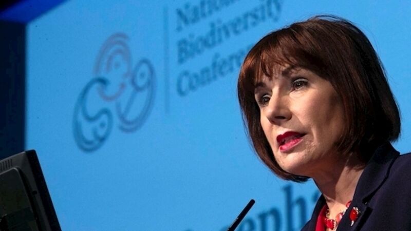 Culture Minister 'very satisfied' with what FG report says about her in connection with Maria Bailey case Culture Minister 'very satisfied' with what FG report says about her in connection with Maria Bailey case
