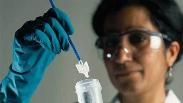 CervicalCheck results not issued to 800 women after IT glitch in US lab