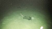 Irish scientists find plastics at bottom of sea canyon more than two kilometers deep