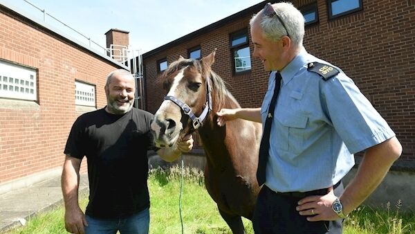 Delighted horse owner Anthony Fitzgerald from Clonmel, Co Tipperary, collecting therapy pony 'Cream' from Garda Sgt Mick O'Connell at Mayfield Garda Station today. Pic; Larry Cummins Delighted horse owner Anthony Fitzgerald from Clonmel, Co Tipperary, collecting therapy pony 'Cream' from Garda Sgt Mick O'Connell at Mayfield Garda Station today. Pic; Larry Cummins