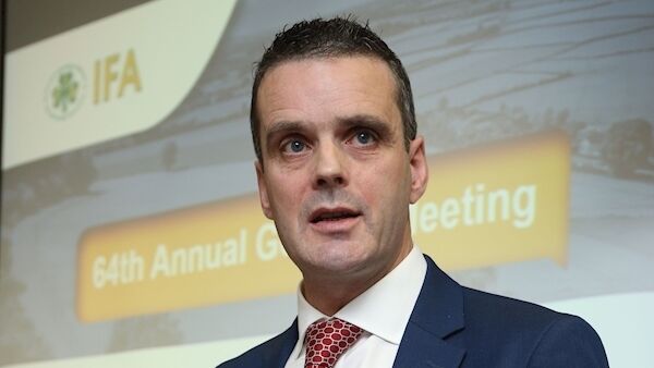 Joe Healy
