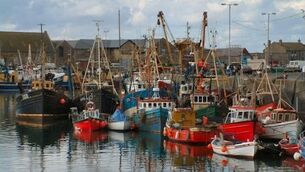 ‘Seabin’ to begin collecting plastic in Howth harbour