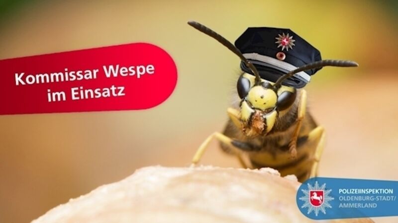 Angry wasps help German police catch fugitive in 'sting' operation Angry wasps help German police catch fugitive in 'sting' operation