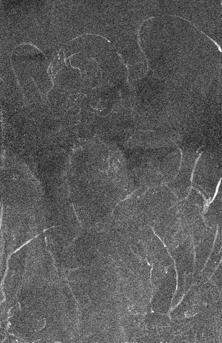 A Macro XRF map of Leonardo da Vinci's artwork The Virgin Of The Rocks, showing the distribution of zinc revealing the angel and baby of the first composition.