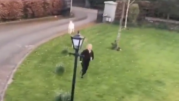 Kildare woman being chased by a goat has been the most-watched video on the internet today