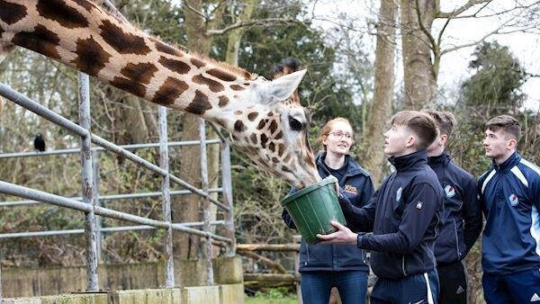 Rachael Taylor, Education Officer Fota Wildlife Park with Eoghan DeLóndra, Callum DeBaroid and Chris O’Hiarlaithe from Gaelscoil Charraig Uí Leighin. Picture: Darragh Kane