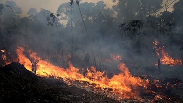 A fire burns along the road to Jacunda National Forest, near the city of Porto Velho in the Vila Nova Samuel region which is part of Brazil's Amazon, Monday, Aug. 26, 2019. Photo: (AP Photo/Eraldo Peres). A fire burns along the road to Jacunda National Forest, near the city of Porto Velho in the Vila Nova Samuel region which is part of Brazil's Amazon, Monday, Aug. 26, 2019. Photo: (AP Photo/Eraldo Peres).