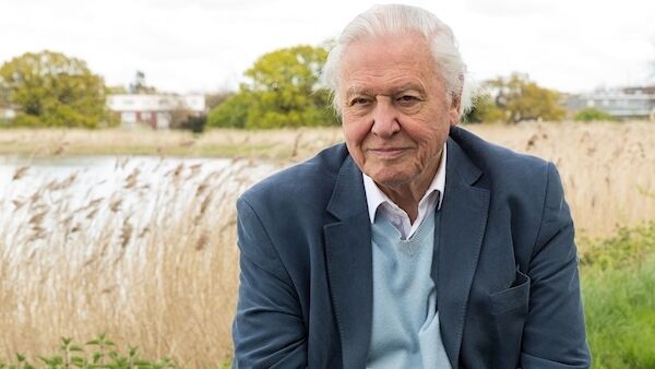 Sir David Attenborough. Photo credit: Penny Dixie/2020Vision/PA Wire.