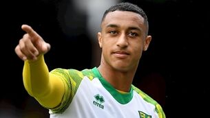 Green shoots offer hope for future