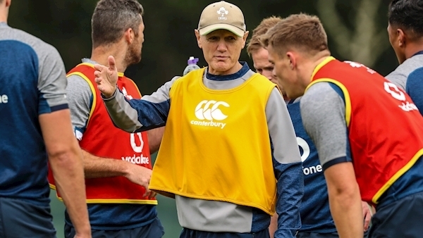 We 'took our eye off the ball' Schmidt admits as Ireland continue World Cup preparations