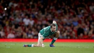 Here's the player ratings as Ireland defeated Wales in Cardiff