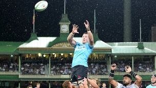 Munster sign Jed Holloway on two-month contract