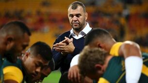 Michael Cheika: Schmidt has not been found out