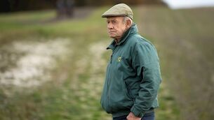 The Daragh Ó Conchúir interview: A horse whisperer says his goodbyes