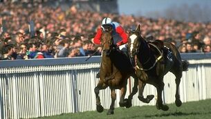 Grand National: The nines have it! The nines have it!