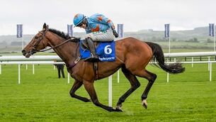 You just have to stand back and admire Un De Sceaux