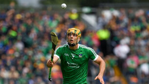 Munster glory next on Limerick's wishlist