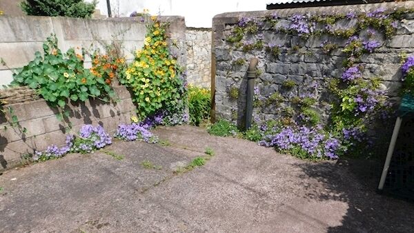 No 6 Grand View Terrace