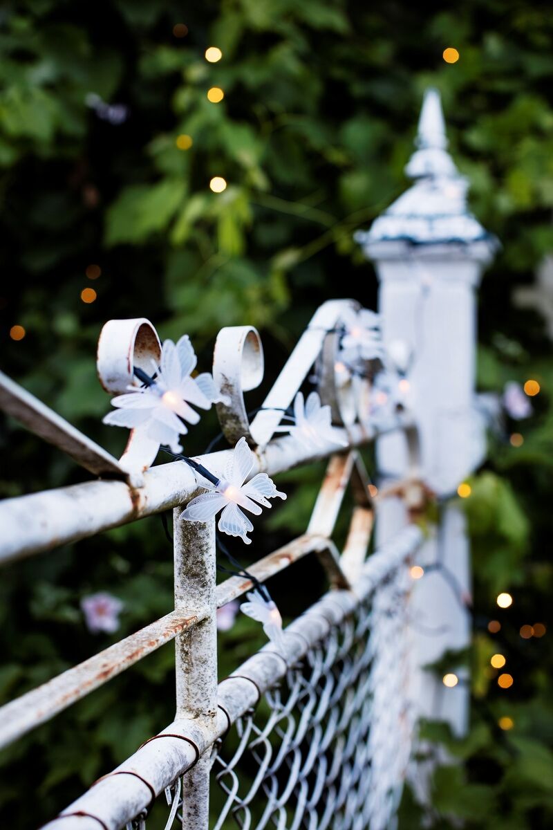 Solar Butterfly lights, lights4fun.co.uk.