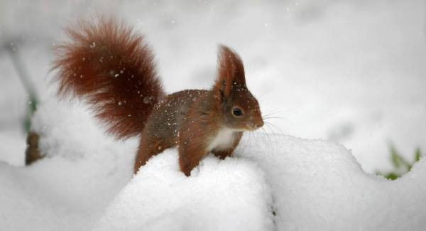 Easter was colder than Christmas - but was it the coldest March ever?