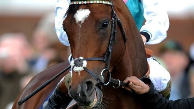 Frankel departs Warren Place