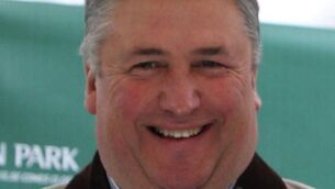 Fergie bids to conquer Grand National with Viking