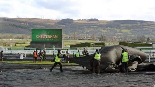 Green light for Cheltenham