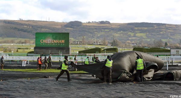 Green light for Cheltenham
