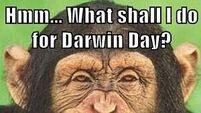 Three things to do for Darwin Day