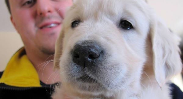 Good guy Charlie shells out for teen's therapy dog