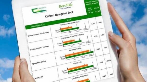 In the BDGP, you must update your carbon navigator each year