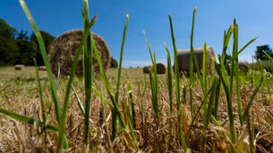 Compulsory purchase order for common good but poses difficulty for farms