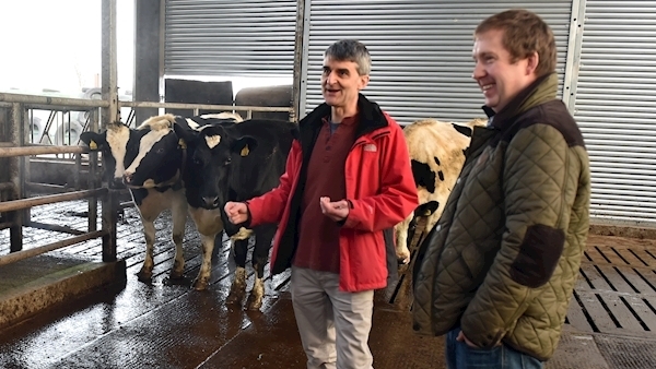 100-cow dairy farmer puts his faith in homeopathy