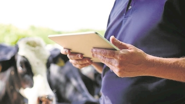 Don’t rely on good faith in contract rearing