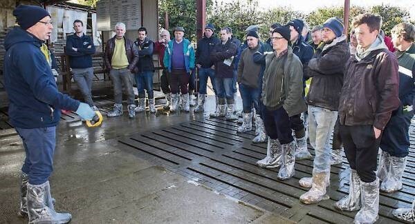 EU milk price rise slows down