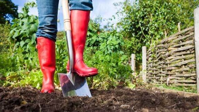 ‘Green-fingered’ students transform gardens