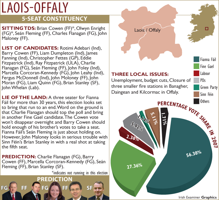 Cowen’s brother elected in Laois-Offaly as count finishes