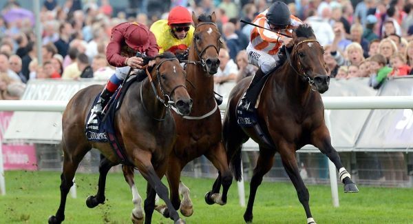 Ortensia delivers Nunthorpe glory for Aussies