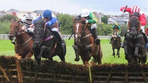 Back In Focus runaway winner