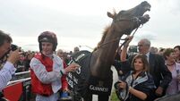 Faltering gallops to glory